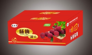 楊梅罐頭 12瓶/箱